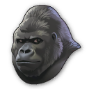Gorilla.png