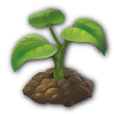 Seeds.png