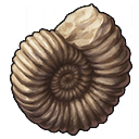 Ammoniten.png